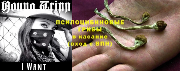 apvp Болохово