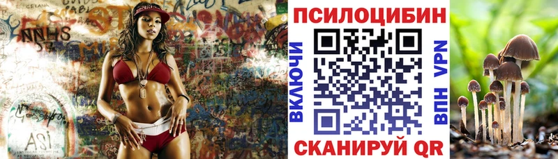 гидра как войти  Кимовск  Псилоцибиновые грибы ЛСД 