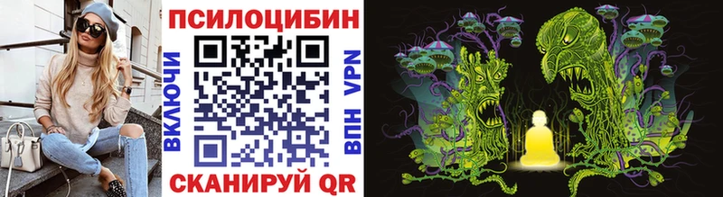 Псилоцибиновые грибы Cubensis Кимовск