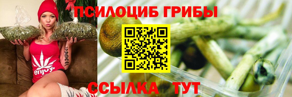 Кимовск  Псилоцибиновые грибы GOLDEN TEACHER  Вход с VPN 